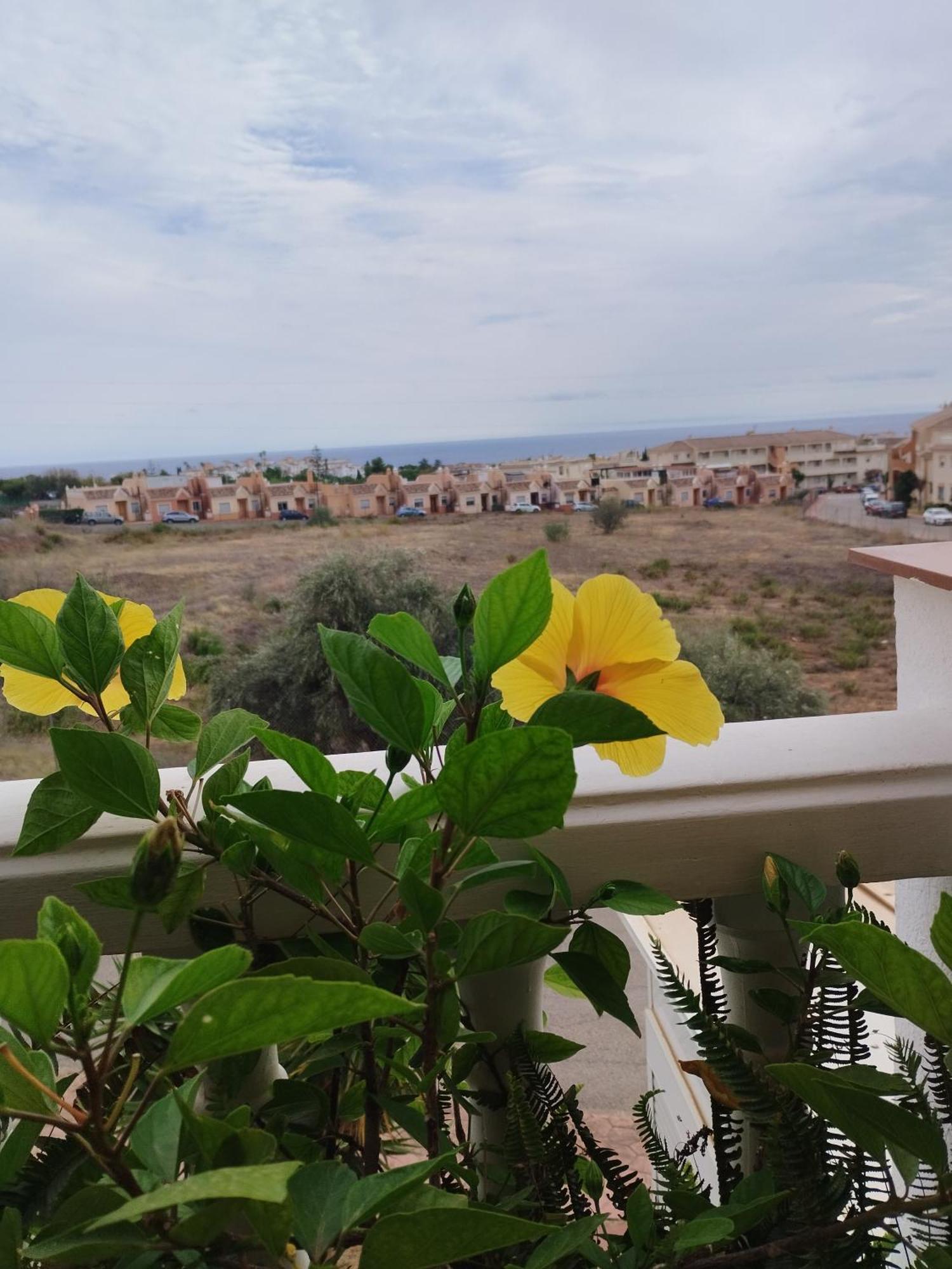 Casa Carino Apartment Torrox Exterior foto